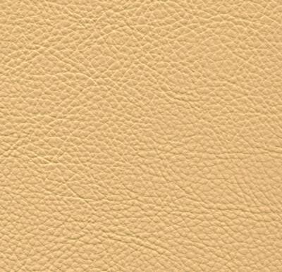 Symphony Classic Chamois